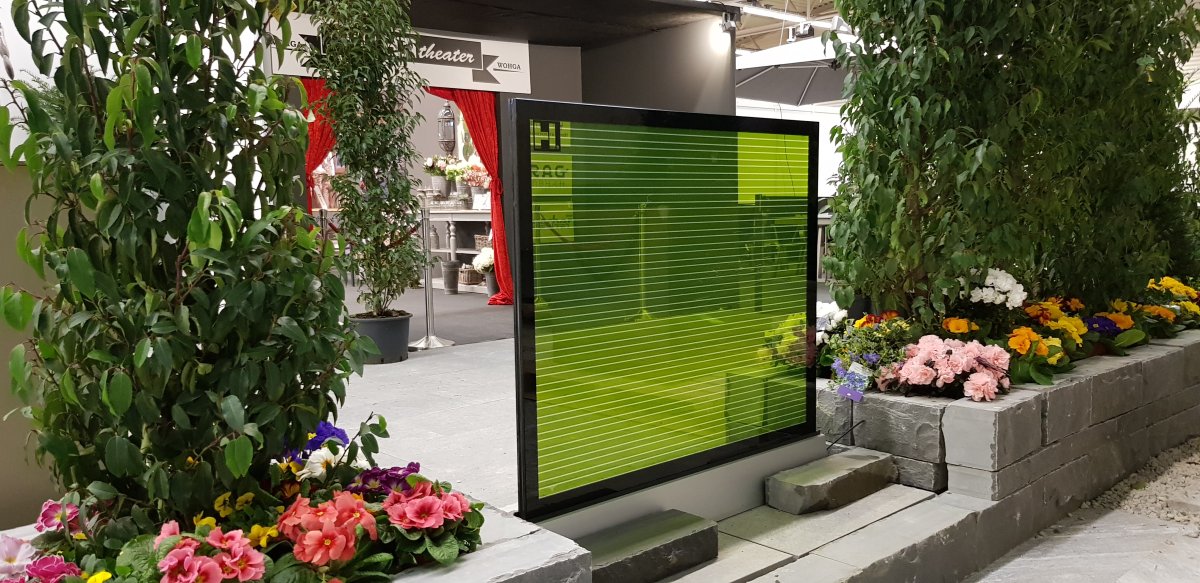 Balustrade mit DSC Modul